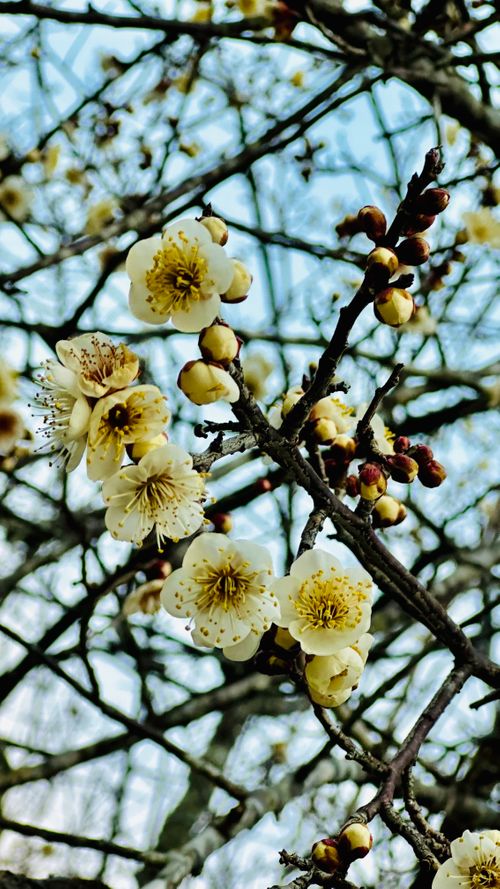 自分のYouTube動画で初めて語りました(笑) ソロキャンプ フリーサイト ちゃむ！さんのキャンプブログ CAMPiii（キャンピー） -キャンプ専用SNS キャンプのすべてがここに集まる-