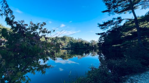 小さい秋見つけた おおぐて湖キャンプ場 ソロキャンプ 区画サイト KABUTOさんのキャンプブログ CAMPiii(キャンピー) -キャンプ専用SNS キャンプのすべてがここに集まる-