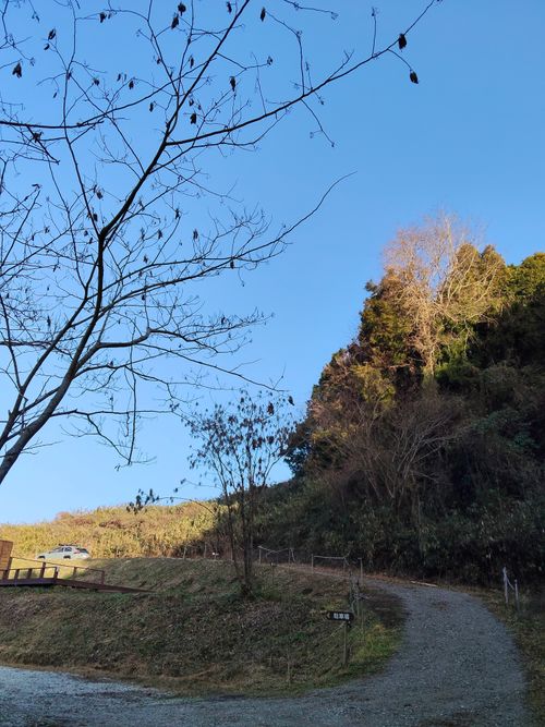 大阪の村 campsite麓 ソロキャンプ フリーサイト おっとまんSさんのキャンプブログ CAMPiii（キャンピー） -キャンプ専用SNS キャンプのすべてがここに集まる-