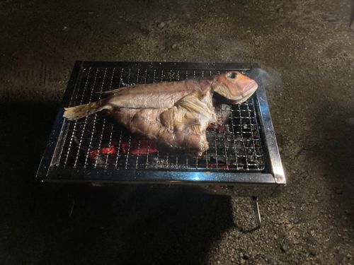 これはキャンプ...？？ 青海島 ファミリーキャンプ masaさんのキャンプブログ CAMPiii（キャンピー） -キャンプ専用SNS キャンプのすべてがここに集まる-