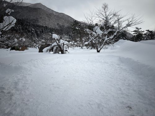大人だけど雪遊び全振りキャンプ⛄️❄️🗿 白川郷ひらせ温泉キャンプサイト グループキャンプ フリーサイト ぐうたら夫婦さんのキャンプブログ CAMPiii（キャンピー） -キャンプ専用SNS キャンプのすべてがここに集まる-