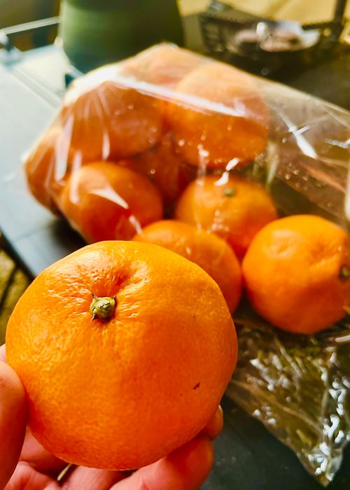 今年最後の《星空の贈りもの》を求め…久しぶりの完ソロおじキャン△ in 美濃ケ浜海浜公園キャンプ場 〜 CAMP NO.167 美濃ケ浜海浜広場 ソロキャンプ フリーサイト おじキャン△さんのキャンプブログ CAMPiii（キャンピー） -キャンプ専用SNS キャンプのすべてがここに集まる-