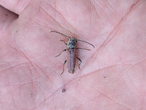 取れ高求めて三千里。 笠置キャンプ場 ソロキャンプ グループキャンプ フリーサイト ぞのさんさんのキャンプブログ CAMPiii（キャンピー） -キャンプ専用SNS キャンプのすべてがここに集まる-