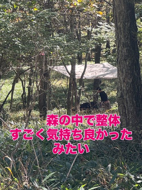 天気に恵まれて星空も綺麗 姫木平ホワイトバーチキャンプフィールド グループキャンプ 区画サイト OYAKATAさんのキャンプブログ CAMPiii（キャンピー） -キャンプ専用SNS キャンプのすべてがここに集まる-