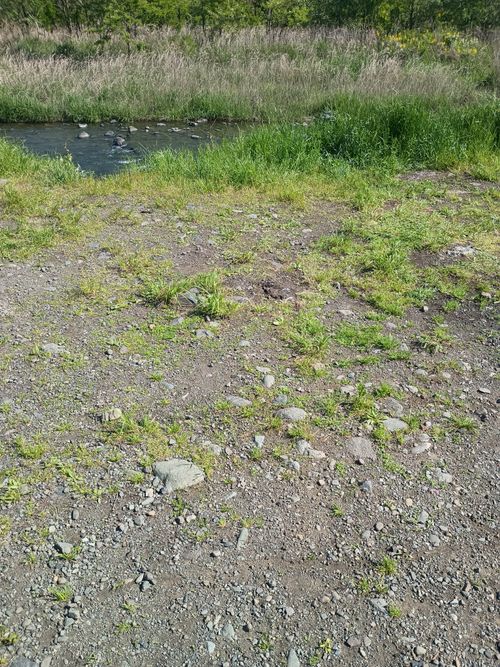 スイス軍🇨🇭ドイツ軍🇩🇪 親子合同演習🏕️ 角田大橋 ファミリーキャンプ フリーサイト ウエィダーさんのキャンプブログ CAMPiii（キャンピー） -キャンプ専用SNS キャンプのすべてがここに集まる-