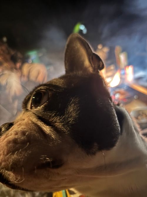 ついに愛車で 夜空と星のキャンプ場 ソロキャンプ グループキャンプ フリーサイト つむじまがりさんのキャンプブログ CAMPiii（キャンピー） -キャンプ専用SNS キャンプのすべてがここに集まる-