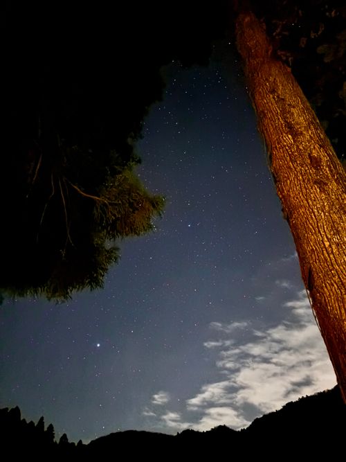 キャンプ界のスター（？）とソログルしてきた。 デルフリキャンプ エンジョイドローン上山田キャンプ場 グループキャンプ 区画サイト あやぴーさんのキャンプブログ CAMPiii（キャンピー） -キャンプ専用SNS キャンプのすべてがここに集まる-