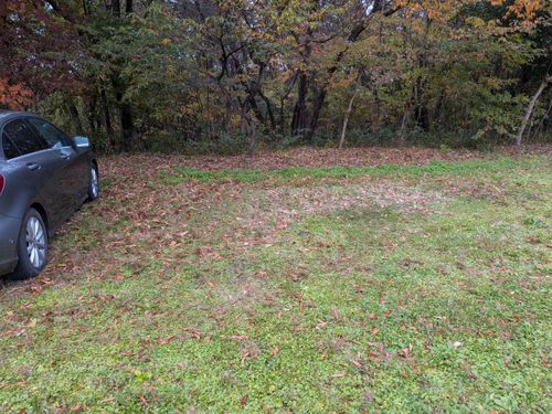 のんびり 那須たんぽぽ村キャンプ広場 ソロキャンプ フリーサイト 俺の酒場は野にあるさんのキャンプブログ CAMPiii（キャンピー） -キャンプ専用SNS キャンプのすべてがここに集まる-