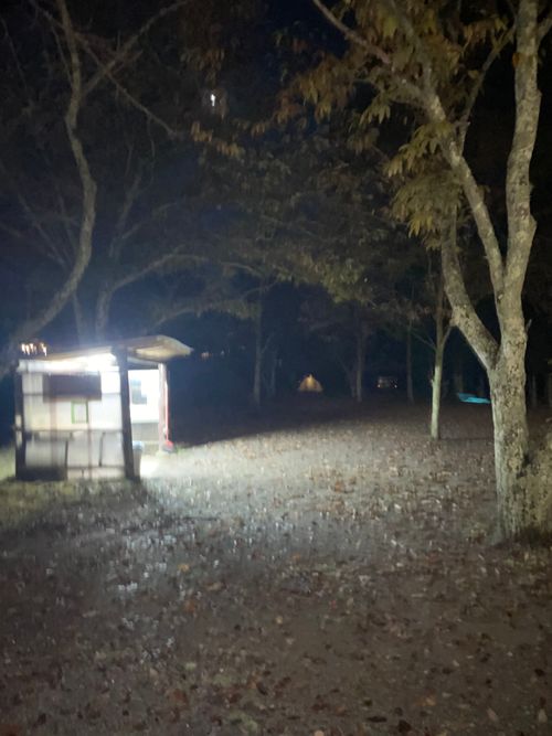 同僚と道志村で2泊3日のふたりキャンプ！ 道志村観光農園オートキャンプ場 ソロキャンプ グループキャンプ フリーサイト ma9さんのキャンプブログ CAMPiii（キャンピー） -キャンプ専用SNS キャンプのすべてがここに集まる-