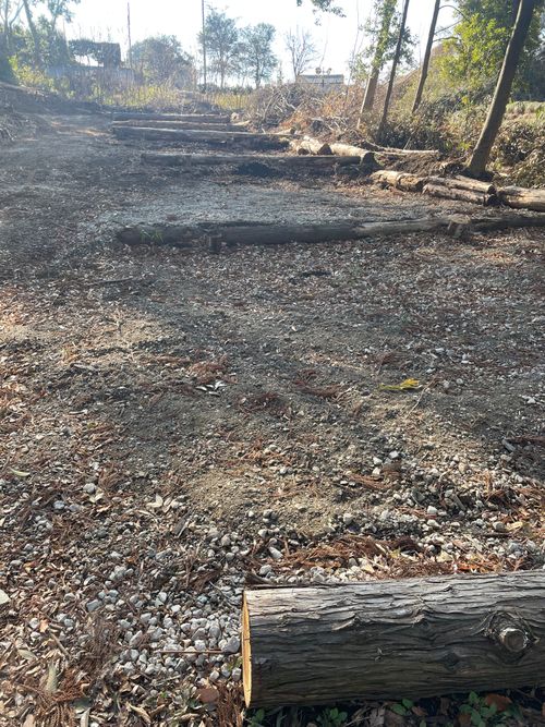 薪放題に満足🪵 くにあきの森：あなたまかせのキャンプ場 グループキャンプ ソロキャンプ フリーサイト もるがんさんのキャンプブログ CAMPiii（キャンピー） -キャンプ専用SNS キャンプのすべてがここに集まる-