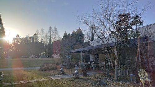 あけましておめでとうごニャイます！🐱（byまきお） ラピュタファームキャンプ場 グループキャンプ フリーサイト スローライフに憧れるさんのキャンプブログ CAMPiii（キャンピー） -キャンプ専用SNS キャンプのすべてがここに集まる-