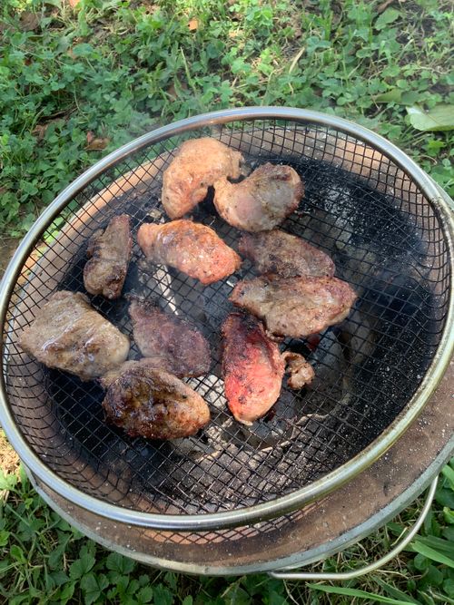 Vol.98 25/NO.17 お肉焼きに行く‼️ 坂戸市運動公園 ソロキャンプ フリーサイト 🔥焚き火🔥さんのキャンプブログ CAMPiii（キャンピー） -キャンプ専用SNS キャンプのすべてがここに集まる-