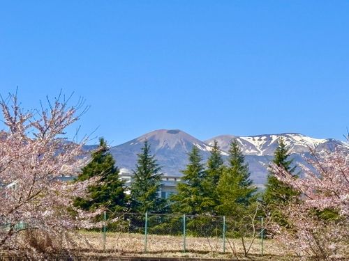 【番外編】駐屯地でお花見するっちゃ〜🌸🌸🌸 陸上自衛隊 福島駐屯地 Oniyomeさんのキャンプブログ CAMPiii（キャンピー） -キャンプ専用SNS キャンプのすべてがここに集まる-