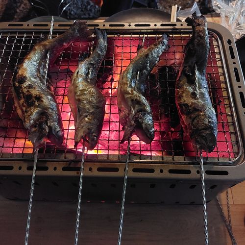 七輪で味わう釣りキャンプ🎣 ニュー田代オートキャンプ場 ファミリーキャンプ 区画サイト こば  さんのキャンプブログ CAMPiii（キャンピー） -キャンプ専用SNS キャンプのすべてがここに集まる-