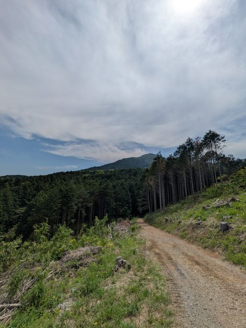 【茨城県笠間の超人気キャンプ場】にこにこキャンプ場 笠間市 ソロキャンプ 区画サイト MOTO△CAMPさんのキャンプブログ CAMPiii（キャンピー） -キャンプ専用SNS キャンプのすべてがここに集まる-