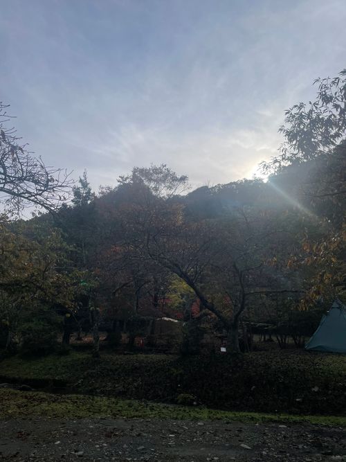 同僚と道志村で2泊3日のふたりキャンプ！ 道志村観光農園オートキャンプ場 ソロキャンプ グループキャンプ フリーサイト ma9さんのキャンプブログ CAMPiii（キャンピー） -キャンプ専用SNS キャンプのすべてがここに集まる-