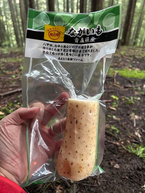 雨☔️の完ソロ🏕 ソロキャンプ フリーサイト Genさんのキャンプブログ CAMPiii（キャンピー） -キャンプ専用SNS キャンプのすべてがここに集まる-
