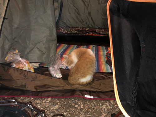 今年4回目 ソロキャンプ フリーサイト 相談所さんのキャンプブログ CAMPiii（キャンピー） -キャンプ専用SNS キャンプのすべてがここに集まる-