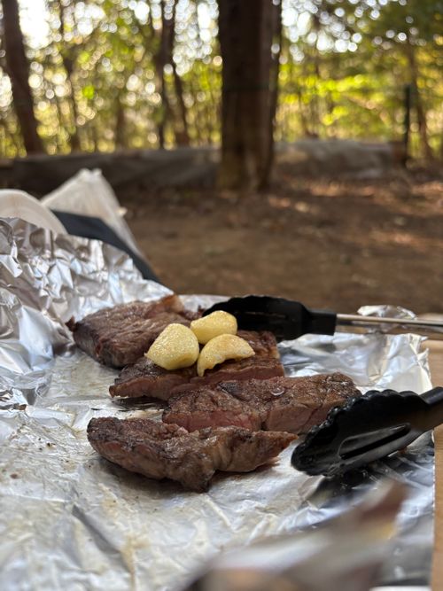 ソロキャンプ 千葉市 昭和の森 グループキャンプ ソロキャンプ フリーサイト 友希たろうさんのキャンプブログ CAMPiii（キャンピー） -キャンプ専用SNS キャンプのすべてがここに集まる-