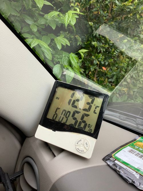 Vol.115 26/NO.05 今年も早速再開初日にお肉焼き焼きに行く‼️ 笛吹小屋キャンプ場 ソロキャンプ 区画サイト 🔥焚き火🔥さんのキャンプブログ CAMPiii（キャンピー） -キャンプ専用SNS キャンプのすべてがここに集まる-