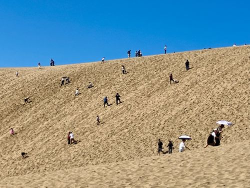 鳥取スゴッ! もう砂漠じゃん 行ったことないけどw 西のふもとっぱらMasumizu天空キャンプ場 ソロキャンプ フリーサイト けんじさんのキャンプブログ CAMPiii(キャンピー) -キャンプ専用SNS キャンプのすべてがここに集まる-