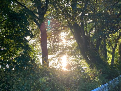 初の湖南は鬼ばかり？ （猪苗代湖 編） 江湖村キャンプ場 グループキャンプ フリーサイト FUNEさんのキャンプブログ CAMPiii（キャンピー） -キャンプ専用SNS キャンプのすべてがここに集まる-