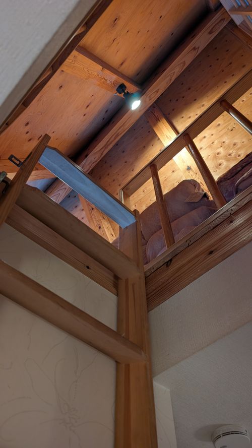 2026年キャンプ始め🎍爆風けん玉合宿🏕️ ひなもりオートキャンプ場 ファミリーキャンプ ヒゲキャンさんのキャンプブログ CAMPiii（キャンピー） -キャンプ専用SNS キャンプのすべてがここに集まる-