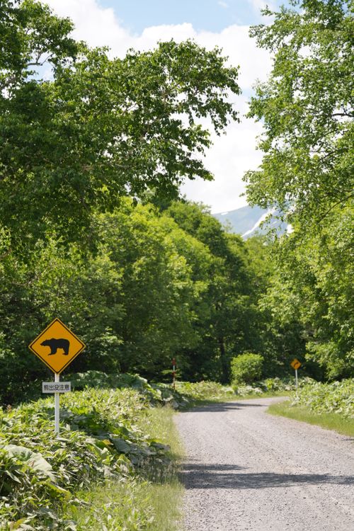 北海道初夏の旅 ENJOY THE OUTDOORSさんのキャンプブログ CAMPiii（キャンピー） -キャンプ専用SNS キャンプのすべてがここに集まる-