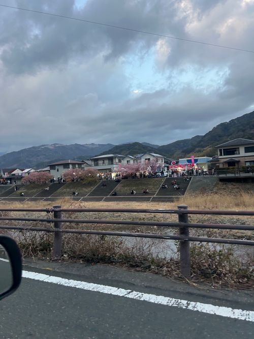 花見キャンプのはずなのに🤔 伊豆キャンパーズヴィレッジ ソロキャンプ フリーサイト Genさんのキャンプブログ CAMPiii（キャンピー） -キャンプ専用SNS キャンプのすべてがここに集まる-