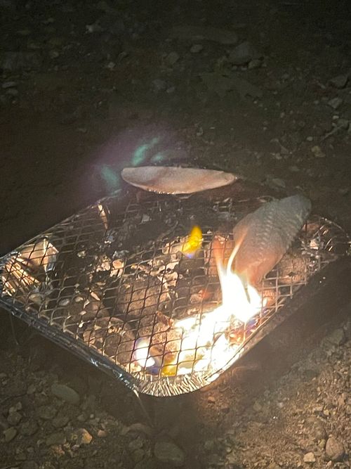 原点回帰、清瀬徒歩キャン 清瀬金山緑地公園河原 ソロキャンプ フリーサイト もるがんさんのキャンプブログ CAMPiii(キャンピー) -キャンプ専用SNS キャンプのすべてがここに集まる-