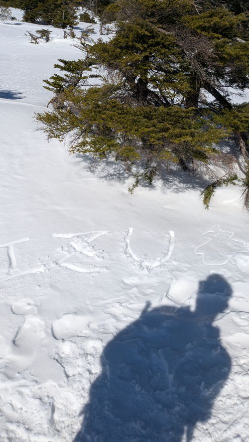 BONCHI 秩父市 グループキャンプ 区画サイト オートサイト IZUIZUさんのキャンプブログ CAMPiii（キャンピー） -キャンプ専用SNS キャンプのすべてがここに集まる-