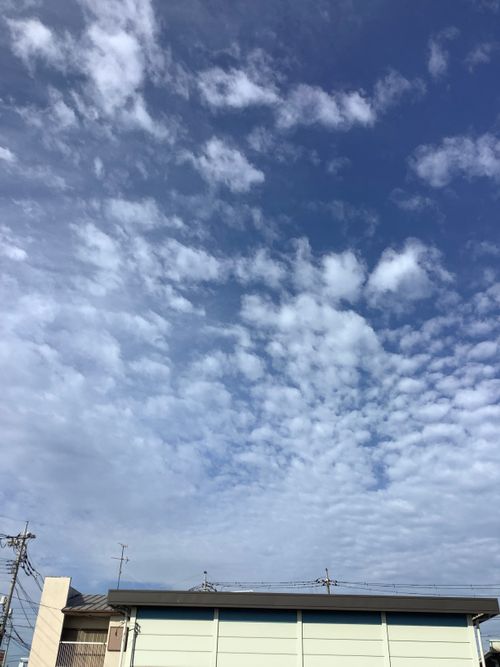 Vol.104 25/NO.23　いつもの場所でお肉焼く‼️ 坂戸市 ソロキャンプ フリーサイト 🔥焚き火🔥さんのキャンプブログ CAMPiii（キャンピー） -キャンプ専用SNS キャンプのすべてがここに集まる-