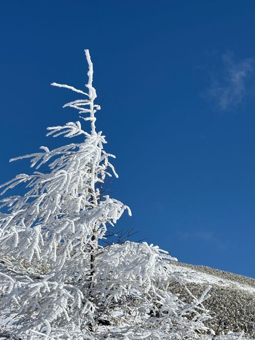 冬キャンプ始まる。 CAMP SKY FIELD-車山オートキャンプ場 ソロキャンプ 区画サイト シルバーズさんのキャンプブログ CAMPiii（キャンピー） -キャンプ専用SNS キャンプのすべてがここに集まる-