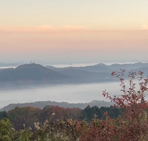 雲海キャンプ2025⑤は第8回SBCMT♪ 神石高原 ティアガルテン グループキャンプ フリーサイト 三代目とっしぃさんのキャンプブログ CAMPiii（キャンピー） -キャンプ専用SNS キャンプのすべてがここに集まる-