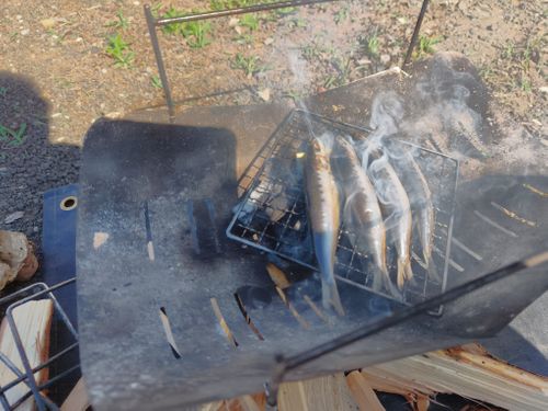久しぶりのアップです ソロキャンプ 区画サイト 3838Outdoorさんのキャンプブログ CAMPiii（キャンピー） -キャンプ専用SNS キャンプのすべてがここに集まる-