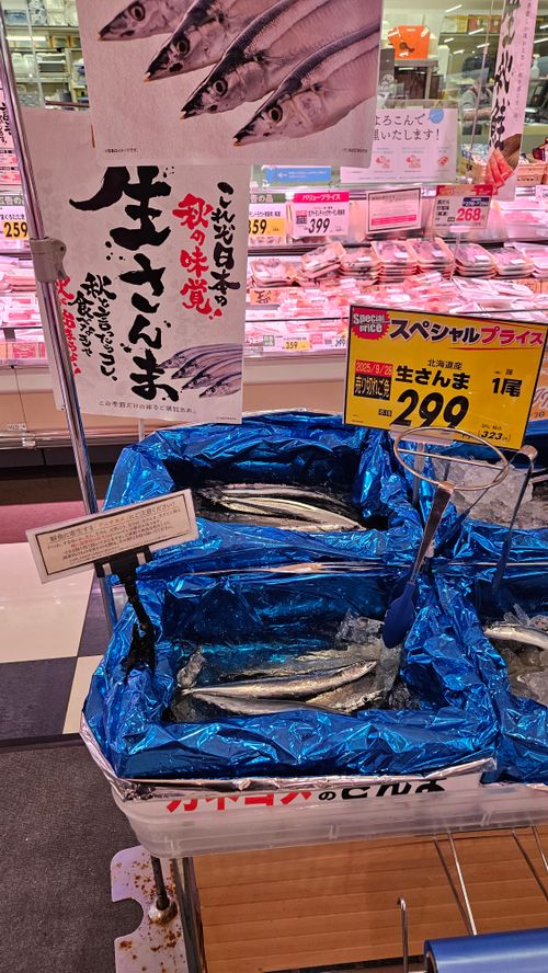 その後 日本 ソロキャンプ グループキャンプ 区画サイト フリーサイト オートサイト IZUIZUさんのキャンプブログ CAMPiii（キャンピー） -キャンプ専用SNS キャンプのすべてがここに集まる-