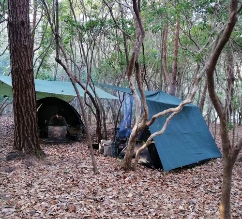 今回もPICA富士西湖 PICA富士西湖 ソロキャンプ グループキャンプ フリーサイト アニさんのキャンプブログ CAMPiii（キャンピー） -キャンプ専用SNS キャンプのすべてがここに集まる-