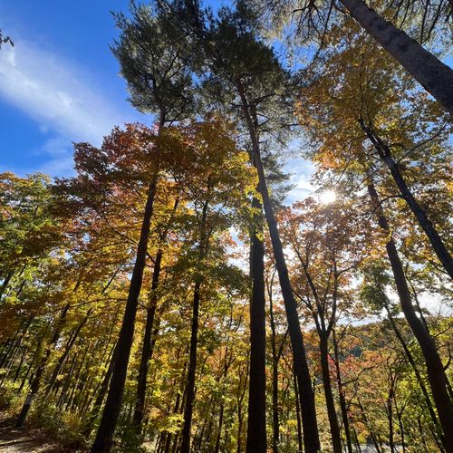 2泊3日森ソロ 葛尾村森林公園もりもりランド ソロキャンプ オートサイト 区画サイト ド・スタールさんのキャンプブログ CAMPiii（キャンピー） -キャンプ専用SNS キャンプのすべてがここに集まる-