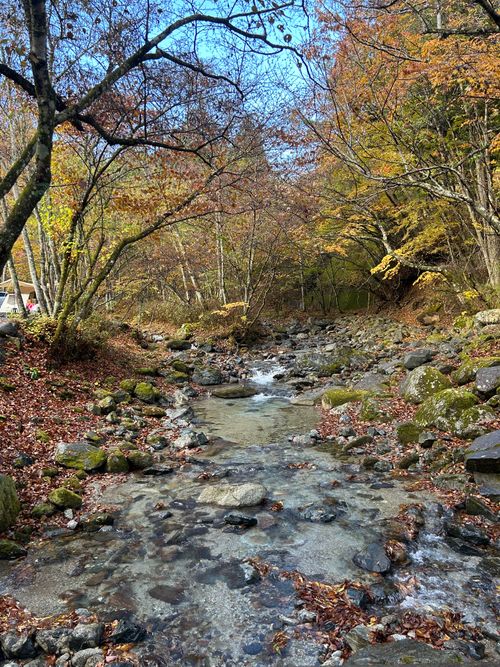 紅葉🍁キャンプ 山伏オートキャンプ場 ソロキャンプ グループキャンプ 区画サイト Genさんのキャンプブログ CAMPiii（キャンピー） -キャンプ専用SNS キャンプのすべてがここに集まる-