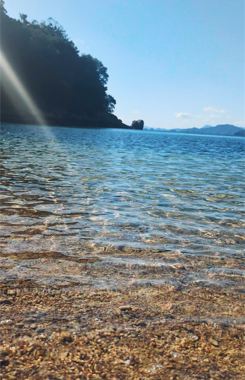 無人島にカヤックで渡ってみたキャンプ🏕 ホシアカリ 波うち 区画サイト NATSUさんのキャンプブログ CAMPiii（キャンピー） -キャンプ専用SNS キャンプのすべてがここに集まる-