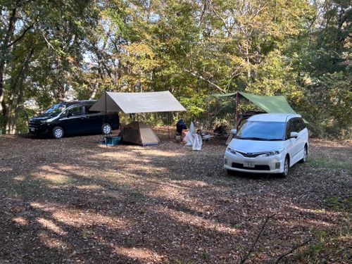 ハンモックの聖地でのんびりソロ＋ソロ 月尾根自然の森キャンプ場 ソロキャンプ グループキャンプ フリーサイト KOBApapaさんのキャンプブログ CAMPiii（キャンピー） -キャンプ専用SNS キャンプのすべてがここに集まる-