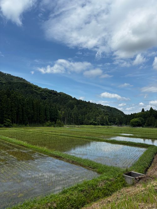後輩夫婦おもてなしキャンプ。 デルフリキャンプ エンジョイドローン上山田キャンプ場 グループキャンプ 区画サイト あやぴーさんのキャンプブログ CAMPiii（キャンピー） -キャンプ専用SNS キャンプのすべてがここに集まる-