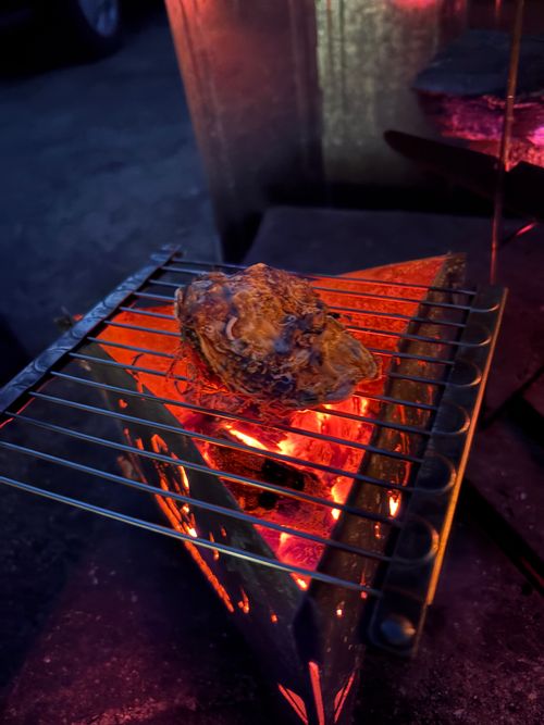 第91話　広島県は離島に行く！ Island Camp 百島 ソロキャンプ 区画サイト ちろ犬さんのキャンプブログ CAMPiii（キャンピー） -キャンプ専用SNS キャンプのすべてがここに集まる-