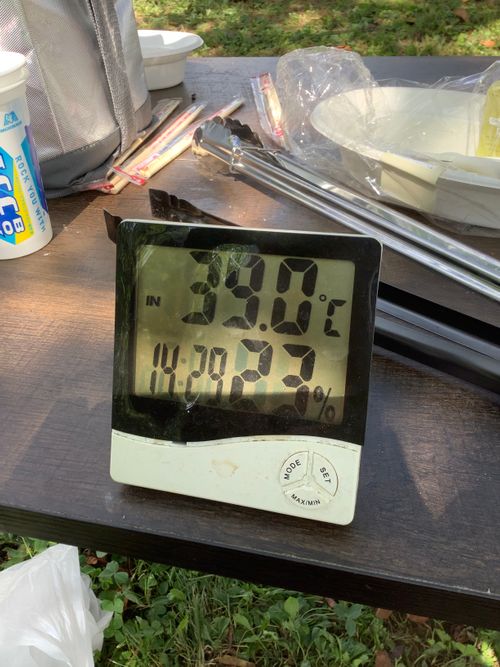 Vol.98 25/NO.17 お肉焼きに行く‼️ 坂戸市運動公園 ソロキャンプ フリーサイト 🔥焚き火🔥さんのキャンプブログ CAMPiii（キャンピー） -キャンプ専用SNS キャンプのすべてがここに集まる-
