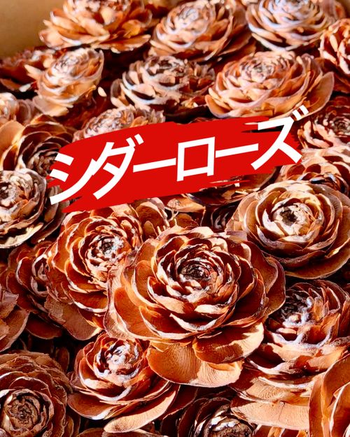 初挑戦‼️シーカヤックと24名の女性たち🩷初心者大歓迎のキャンプイベントだっちゃ🔰 松島自然の家(野外活動フィールド) Oniyomeさんのキャンプブログ CAMPiii（キャンピー） -キャンプ専用SNS キャンプのすべてがここに集まる-