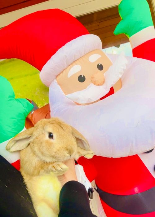 天国と地獄！？ 聖なる夜を愉しむおじおばうさキャン△ in グランヴェルデリゾート 〜 CAMP NO.168 GRAND VERDE RESORT ファミリーキャンプ グループキャンプ フリーサイト おじキャン△さんのキャンプブログ CAMPiii（キャンピー） -キャンプ専用SNS キャンプのすべてがここに集まる-