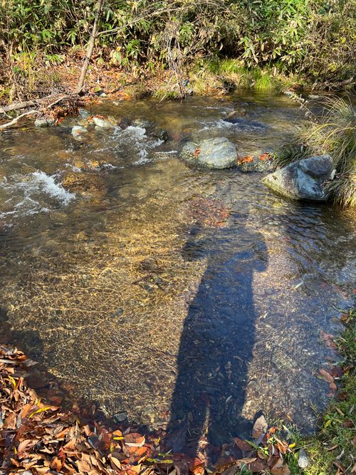 ま、まさかの ソロキャンプ YOTIさんのキャンプブログ CAMPiii(キャンピー) -キャンプ専用SNS キャンプのすべてがここに集まる-