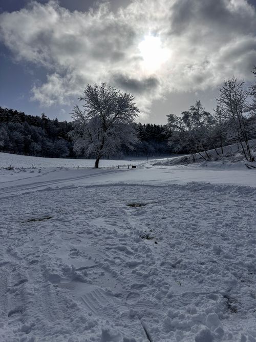 とうとう来たな...この時が！！ 中山高原キャンプ場 skitさんのキャンプブログ CAMPiii（キャンピー） -キャンプ専用SNS キャンプのすべてがここに集まる-