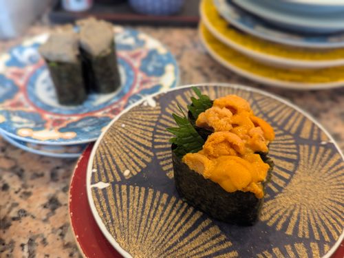 初福井！透明度抜群の海キャンプ 若狭和田キャンプ場 ソロキャンプ グループキャンプ 区画サイト ちあさんのキャンプブログ CAMPiii（キャンピー） -キャンプ専用SNS キャンプのすべてがここに集まる-