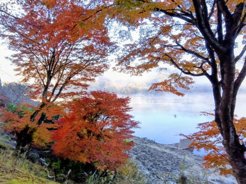 RALLY JAPAN 2025 三河湖SS を辿るキャンプ 三河湖やまびこキャンプ場 ソロキャンプ 区画サイト ｷｬﾑﾗｰ@RMS099さんのキャンプブログ CAMPiii（キャンピー） -キャンプ専用SNS キャンプのすべてがここに集まる-